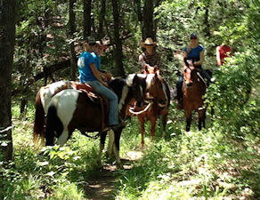 Group of CTETA trail riders posing on Elm Fork shaded forest trail on Lake Lewisville, Texas 04/12/2012