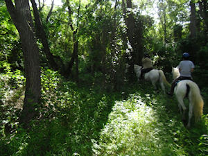 Two CTETA 04/12/2012 riders on Elm Fork trail on Lake Lewisville, Texas