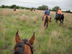 LBJ Grasslands horseback rider looking through horse's ears