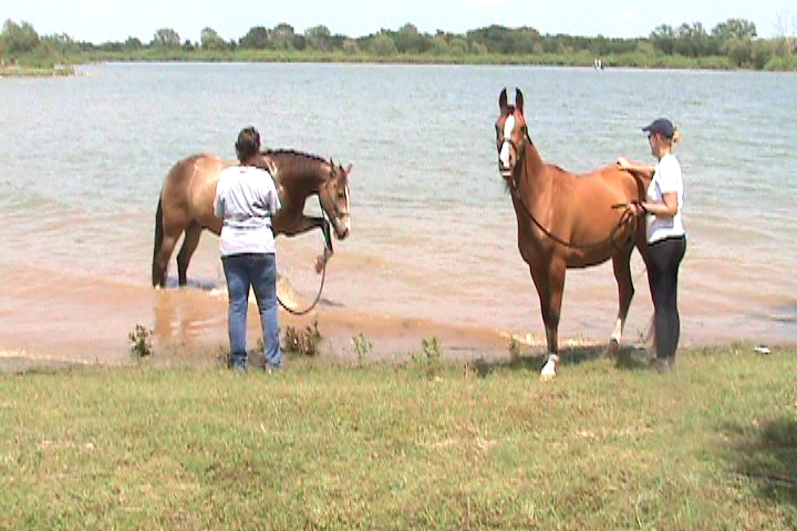 Alanna with her horse, Rascal. Kristen with her horse, Crissy. Cooling off in the lake.