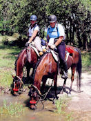 Kristen Fisher at LBJ Grasslands - horse's get a drink from creek