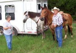 DFW South Trail Riders