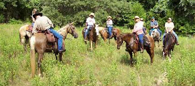 DFW South Trail Riders