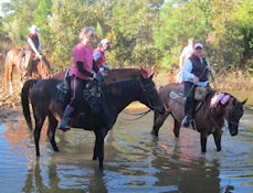 Ride for the Cure - LBJ Grasslands