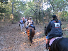 Ride for the Cure - LBJ Grasslands