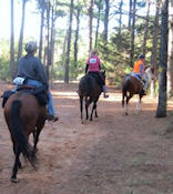 Ride for the Cure - LBJ Grasslands