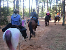 Ride for the Cure - LBJ Grasslands