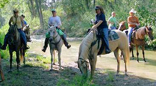 Horseback riding north Texas - DFW South Trail Riders