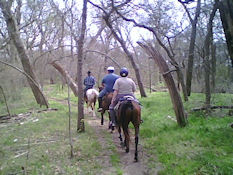 Horseback riding on trails in north Texas