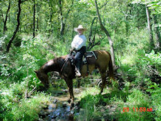 Rocky Point Trail - Lake Grapevine, TX - horseback rider