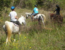 Rocky Point Trail - Lake Grapevine, TX - 3 horseback riders