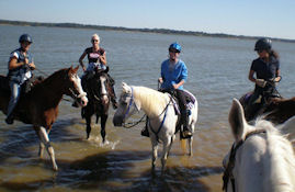 Horseback riders on Marshall Creek Trail standing in Lake Grapevine