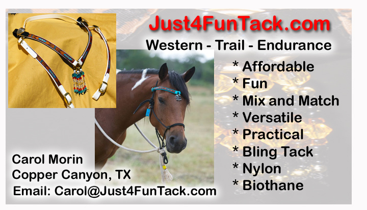 Just4FunTack - Bling Tack for Horse, Texas USA